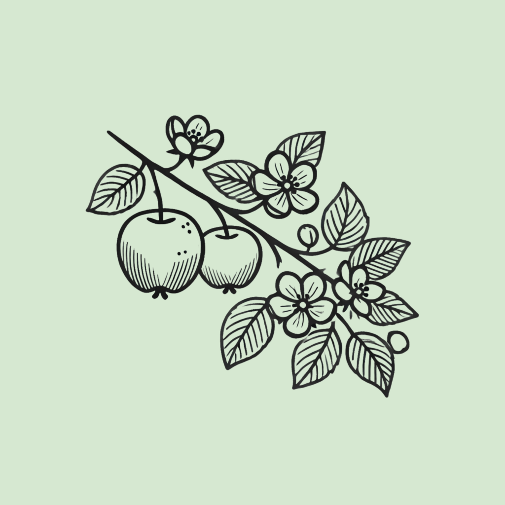 Äppelkvist med frukt och blommor.