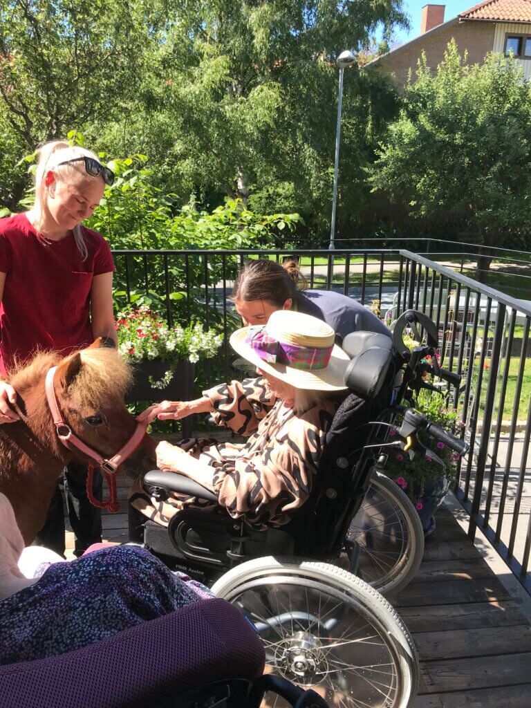 Äldre kvinna i rullstol hälsar på en liten ponny på besök på altanen