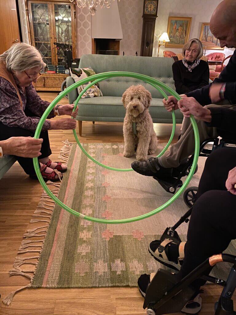 Vårdhunden är på besök och tränas av de äldre att hoppa genom rockringar.