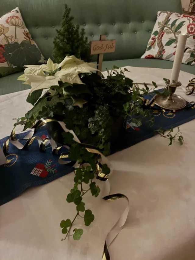 Nyårsfirandet på Andreas And!🥳🌟💕🥂🍾